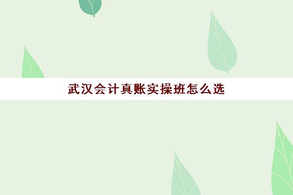 武汉会计真账实操班怎么选？2025年机构排名与课程特色权威解析