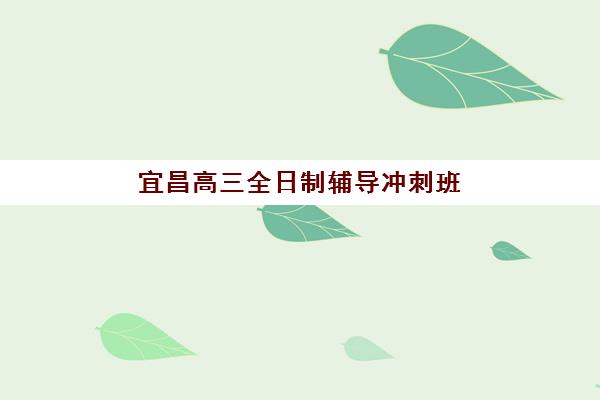 宜昌高三全日制辅导冲刺班集中训练营有哪些学校？2025年Top5机构实力解析与择校指南