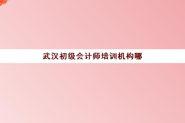 武汉初级会计师培训机构哪家强？2025年发展指数TOP5解析与择校指南