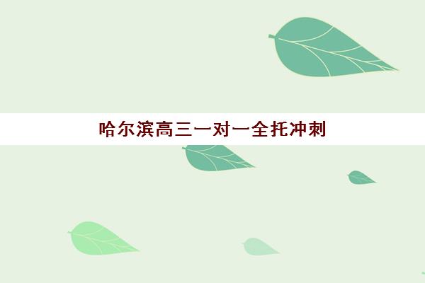 哈尔滨高三一对一全托冲刺补习预报名考点有哪些地方？2025年最新考点分布图、报名流程详解与择校全指南