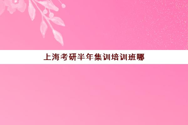 上海考研半年集训培训班哪个最好一点？2025年最新权威TOP5榜单揭晓、各校特色深度解析与科学择校全攻略