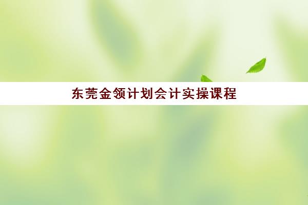 东莞金领计划会计实操课程辅导培训机构有哪些学校？2025年最新排名前十与择校全攻略