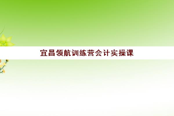 宜昌领航训练营会计实操课程培训基地有哪些学校？2025年最新权威榜单、择校指南与成功案例深度解析