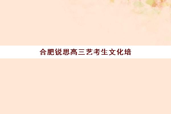 合肥锐思高三艺考生文化培训班收费标准价格一览是什么？2025年收费详情全面解析与高性价比选班策略实用指南