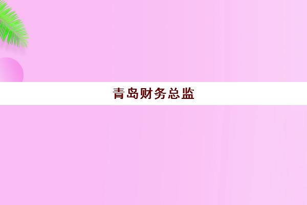 青岛财务总监(CFO)辅导班有哪些地方招生，2025年CFO培训课程安排与择校指南