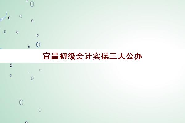 宜昌初级会计实操三大公办机构怎么选？2025年最新特色对比与择校指南