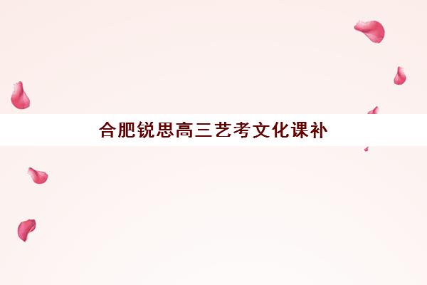 合肥锐思高三艺考文化课补习学校学费贵吗？2025年收费标准与择校全指南