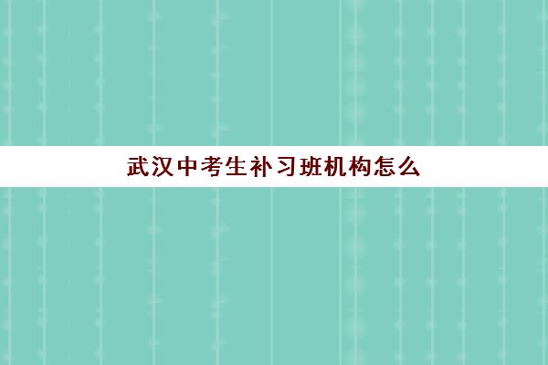 武汉中考生补习班机构怎么选？2025年中考全日制补课机构挑选指南