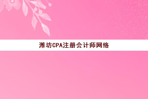 潍坊CPA注册会计师网络课程如何选择？2025年垂直领域TOP10机构全对比与实战指南
