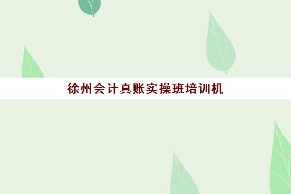 徐州会计真账实操班培训机构哪家好一点？2025年权威排名、性价比分析与择校避坑全指南