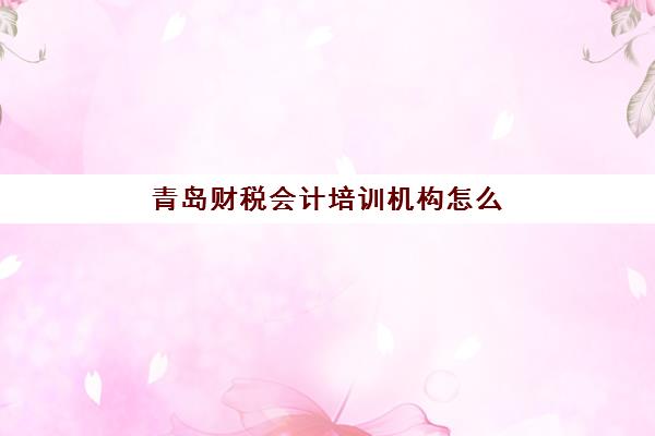 青岛财税会计培训机构怎么选？2025年特色课程与实力机构综合评测全指南