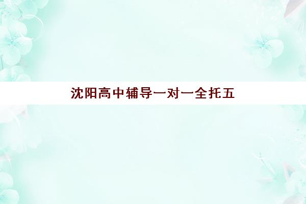沈阳高中辅导一对一全托五大公办机构如何运营？2025年教学模式、师资团队与服务流程深度解析