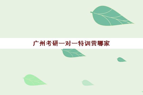 广州考研一对一特训营哪家实力强？2025最新机构排名与选择攻略