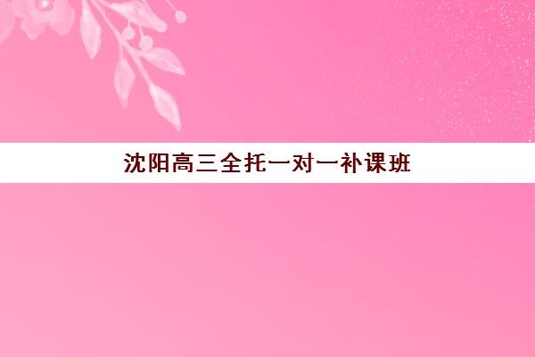 沈阳高三全托一对一补课班时间2025年具体时间如何规划?最新课程安排、报名步骤与择校全指南 沈阳高三全托一对一补课班时间2025年具体时间如何规划?最新课程安排、报名步骤与择校全指南