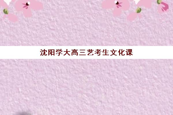 沈阳学大高三艺考生文化课集训班大概多少钱？2025年收费详情全面解析与高性价比报读指南