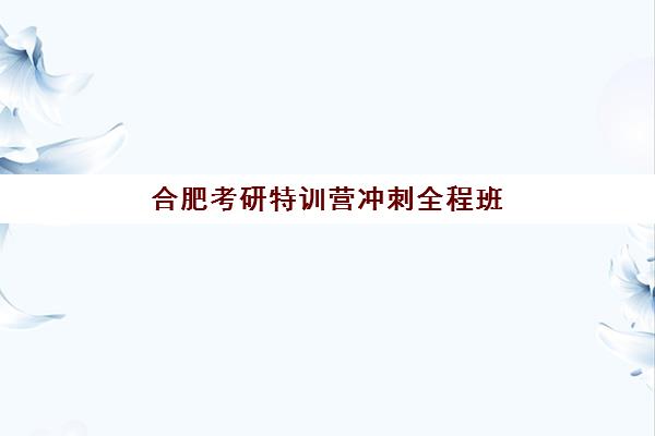 合肥考研特训营冲刺全程班机构如何选？2025年最新课程对比与择校指南
