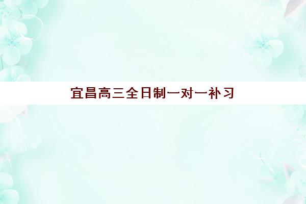 宜昌高三全日制一对一补习培训机构哪家口碑比较好？2025年最新机构测评与择校全攻略