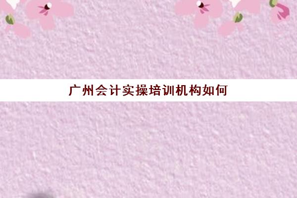 广州会计实操培训机构如何选？2025年五大机构硬核测评与费用指南