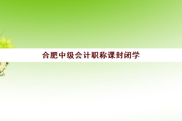 合肥中级会计职称课封闭学校排名一览表如何查询？2025年最新权威榜单、择校标准与全攻略解析