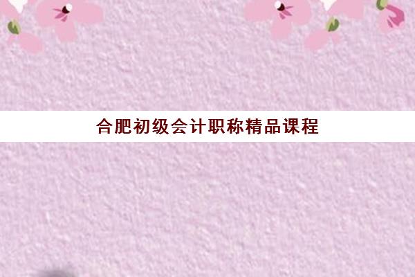 合肥初级会计职称精品课程机构教学创新力三强有哪些？2025年TOP3创新榜单、课程特色与择校全指南