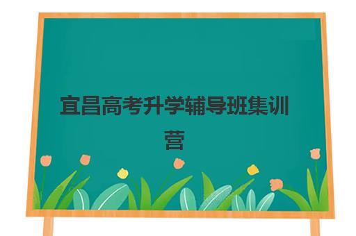 宜昌高考升学辅导班集训营排名榜单公布？2025年最新前十强名单、各机构特色解析与科学择校全指南