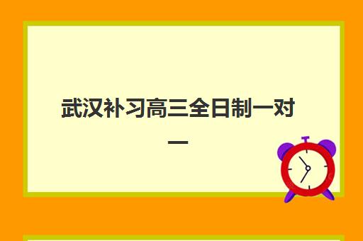 武汉补习高三全日制一对一五大机构服务能力分析？2025年最新排名、课程特色与选择指南