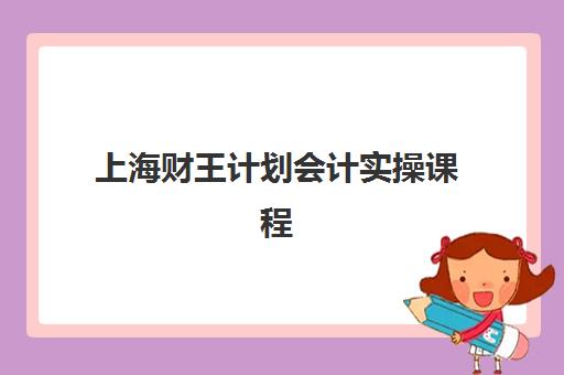 上海财王计划会计实操课程五大机构竞争力如何？2025年最新课程对比、师资实力与择校指南