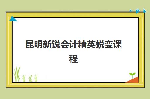 昆明新锐会计精英蜕变课程培训机构寄宿基地如何选择？2025年最新排名前十推荐与择校全指南
