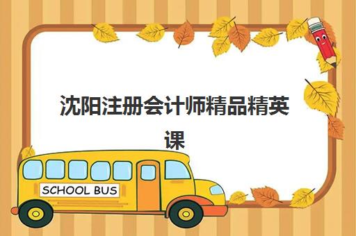 沈阳注册会计师精品精英课程如何选？TOP5机构发展指数、课程特色与择校指南