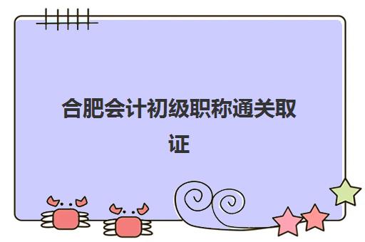 合肥会计初级职称通关取证课程培训机构哪个比较好？2025年最新排名与择校全指南