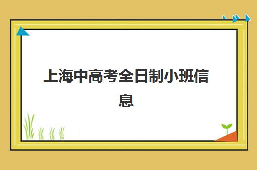 上海中高考全日制小班信息确认时间是几点？2025年官方时间表、材料准备与操作流程一站式详解