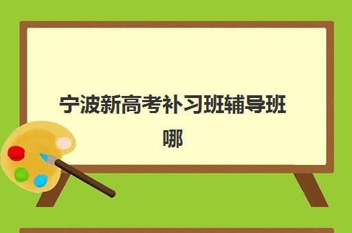 宁波新高考补习班辅导班哪个比较好一点，2025年最新择校指南与机构对比分析