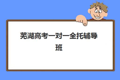 芜湖高考一对一全托辅导班如何选？资深教育顾问带你实地考察与对比分析
