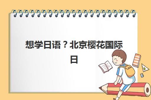 想学日语？北京樱花国际日语全解析：课程设置、师资实力与学员真实体验