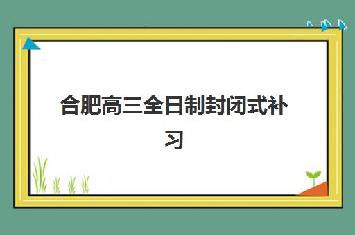 合肥高三全日制封闭式补习班排名前十，2025年最新机构对比与择校全攻略