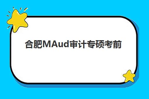 合肥MAud审计专硕考前集训课程辅导机构哪家强些？2025年五大实力机构综合评测与择校指南